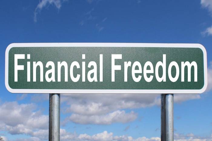 Financial Freedom Strategies