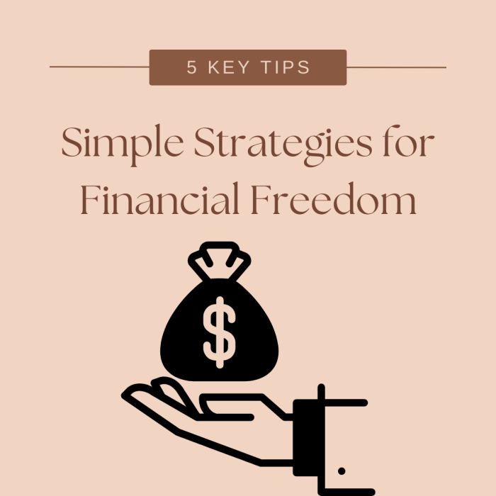 Financial Freedom Strategies