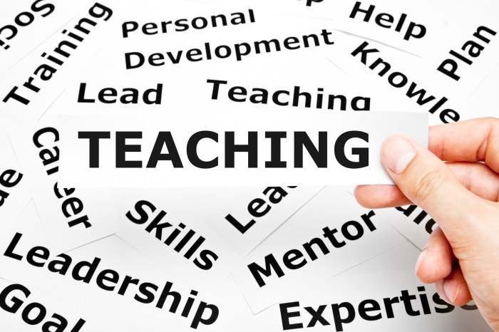 Training teacher education services techer