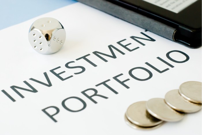 Portfolio investment management some investor investing should every things look when what