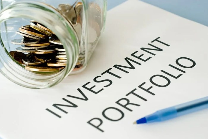 Portfolio investment tips pro theory may manage management hurting prize nobel winning why review sg